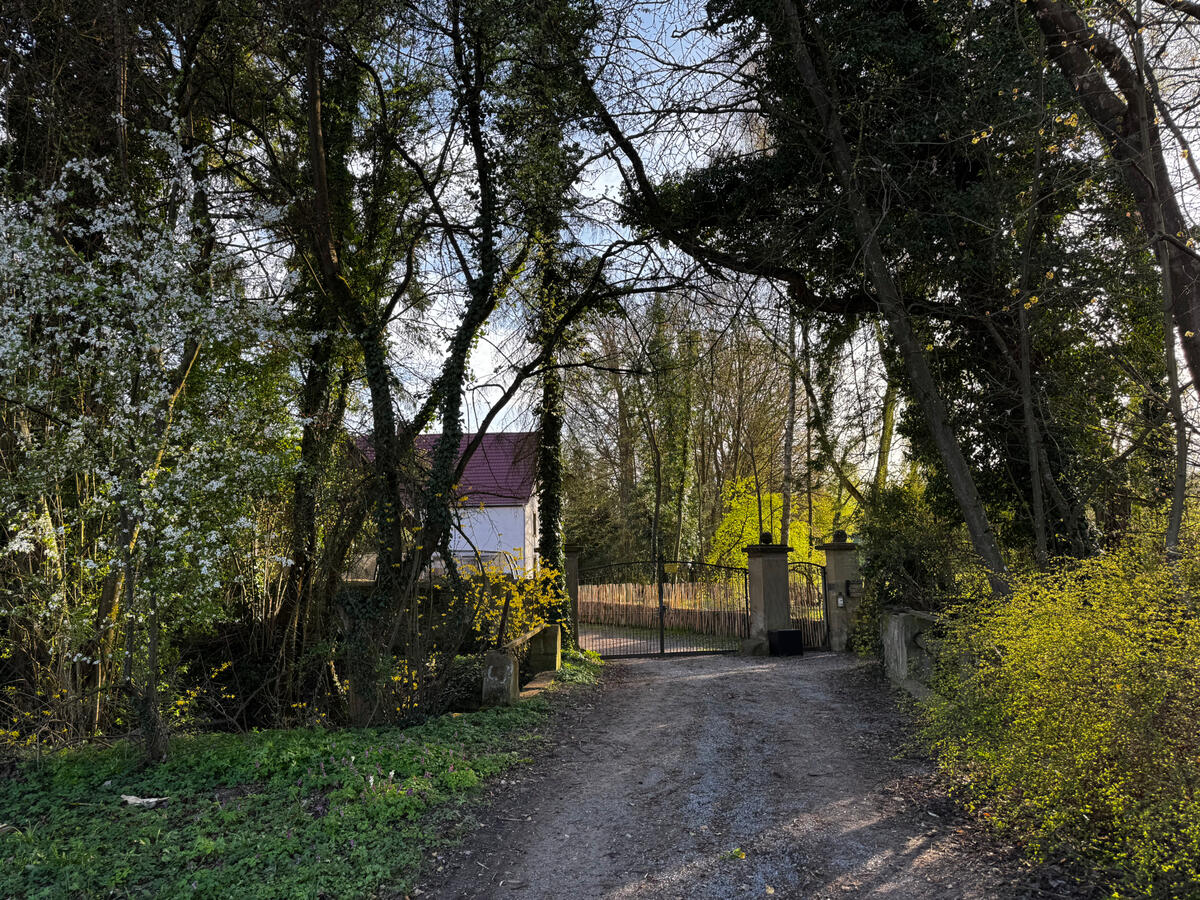 Hainer Mühle Hainer Mühle